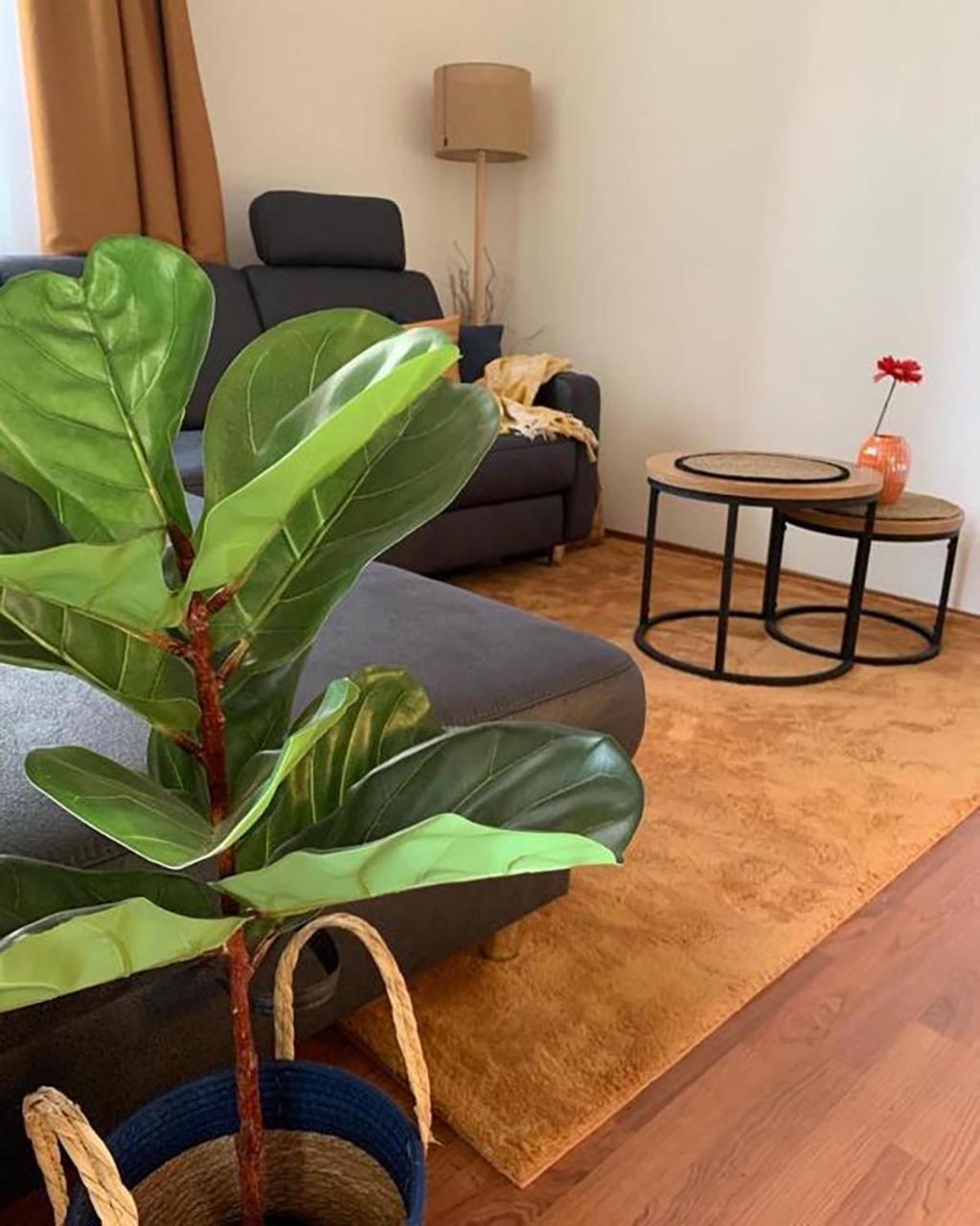 Sovirag Apartman Egerszalók Exteriör bild